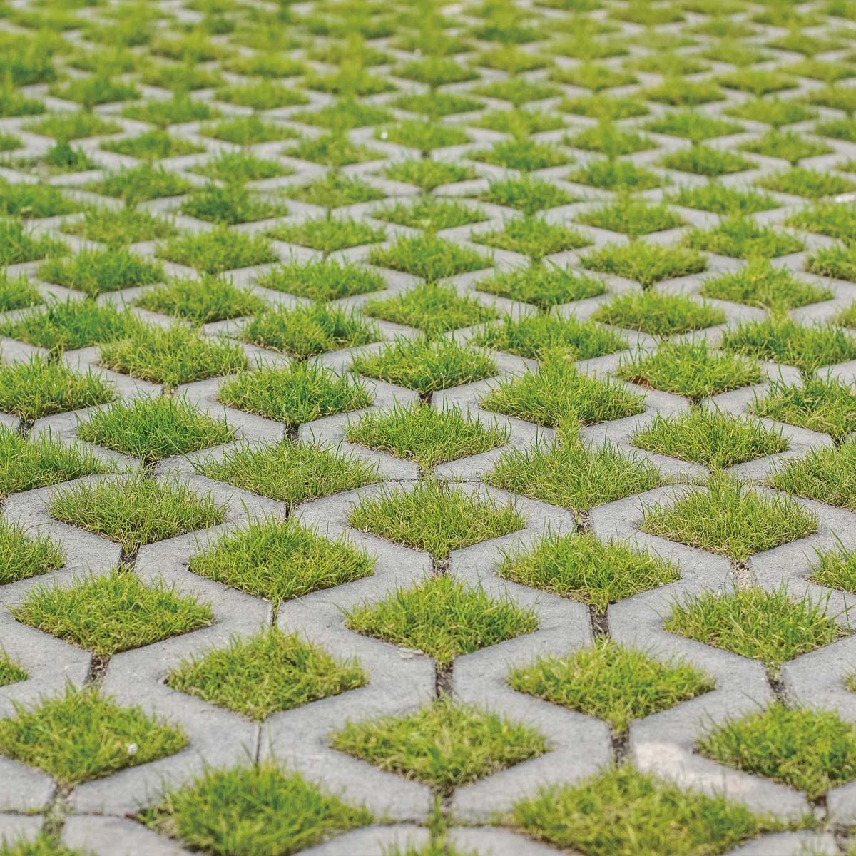 Grass block pavers deals