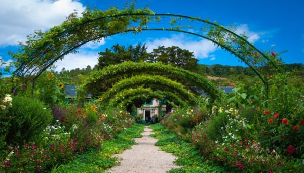 Sensory Garden Ideas to Stimulate the Senses