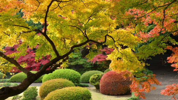 Japanese Gardens: Ideas & Inspiration