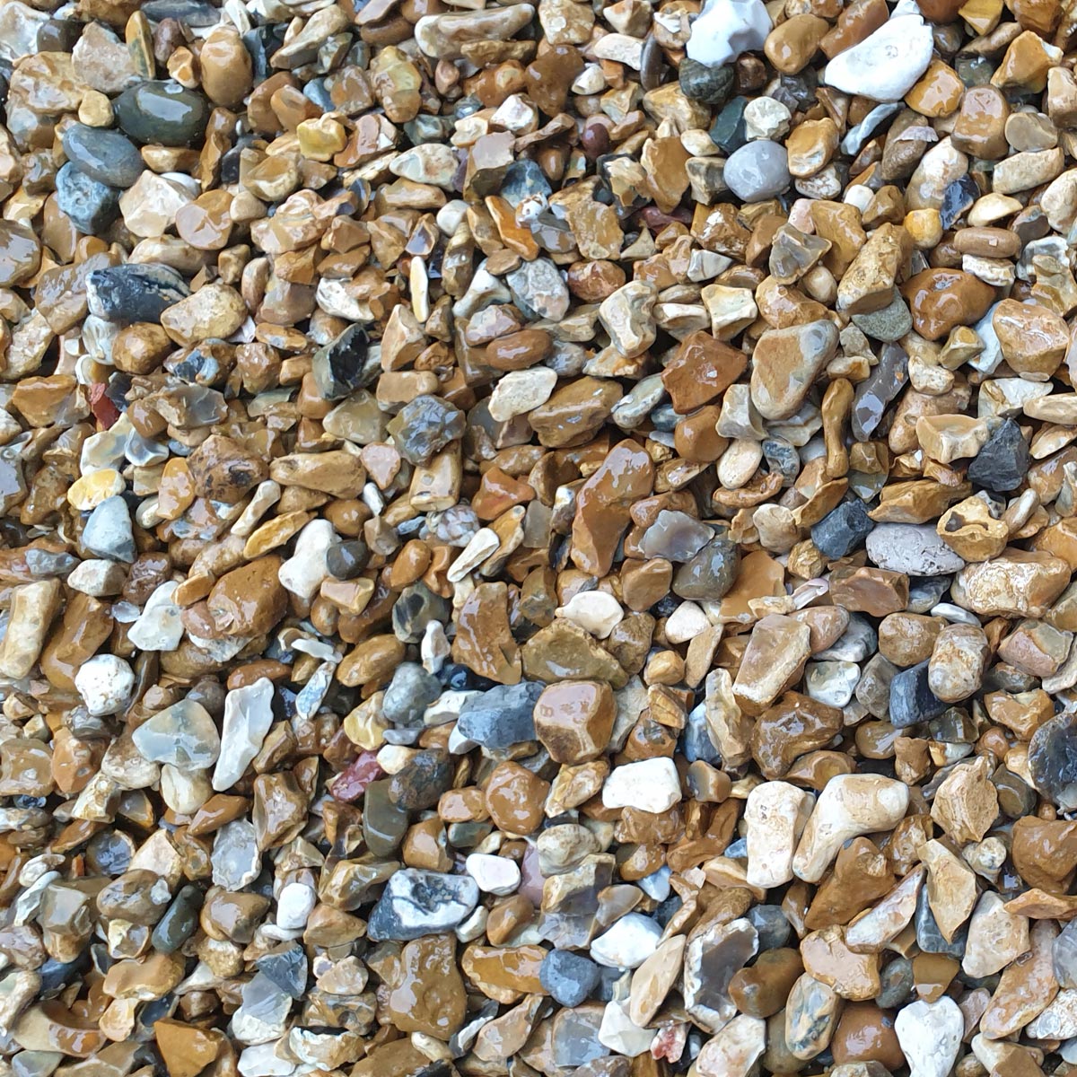 Shingle