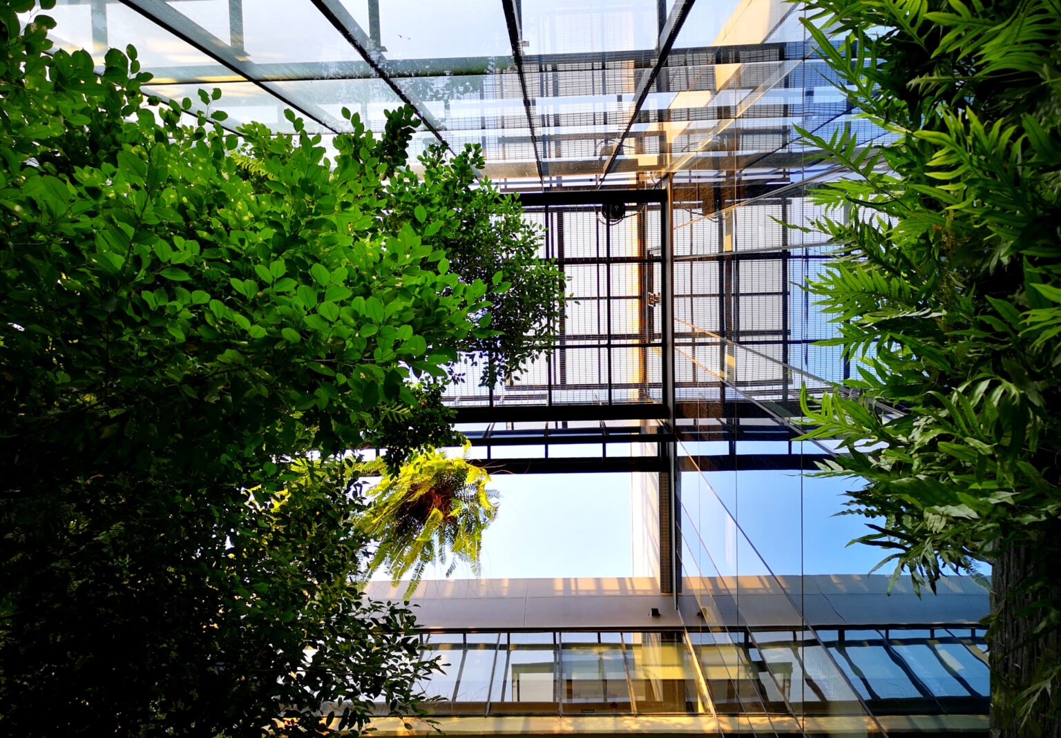 Biophilic architectural design