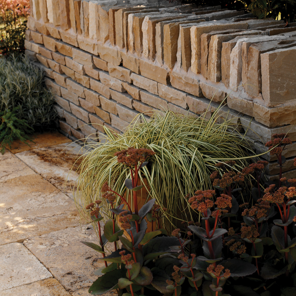 Fossil Indian Sandstone Walling