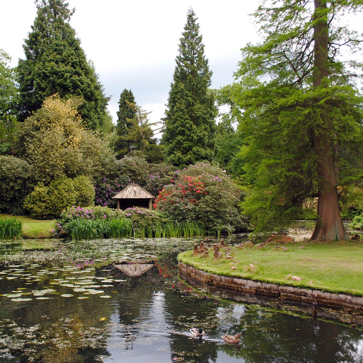 Garden Lake