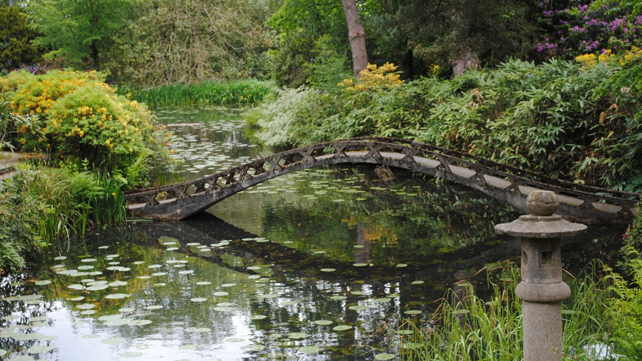 Garden Pond with Bridge