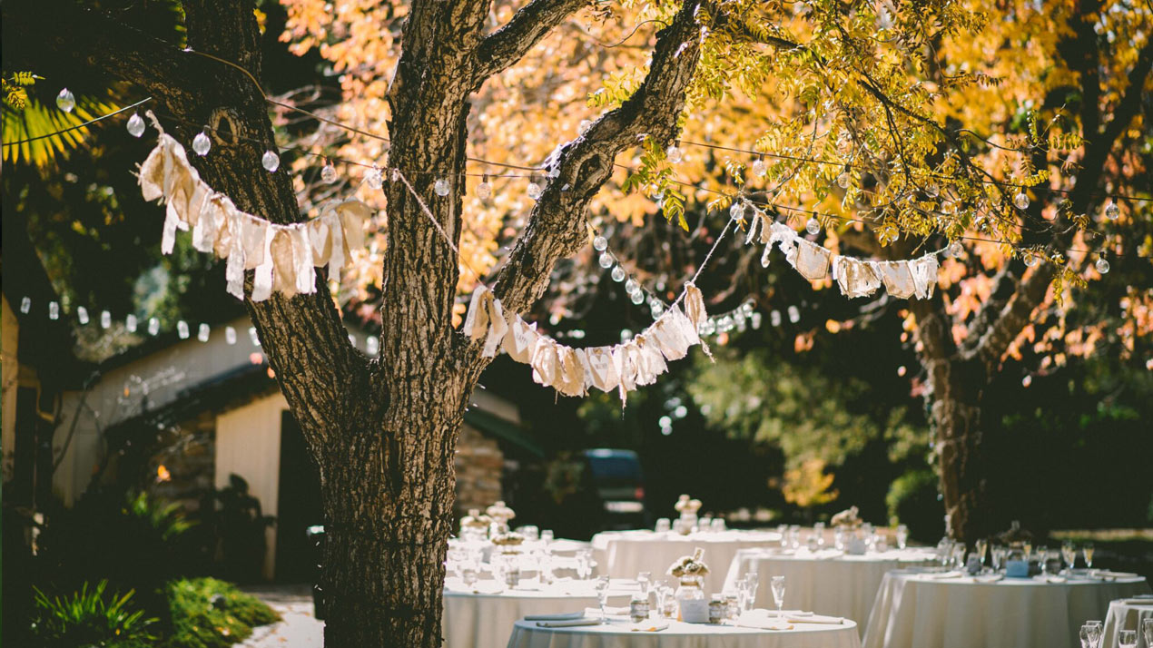 Garden Entertaining - Outdoor Lights in Trees