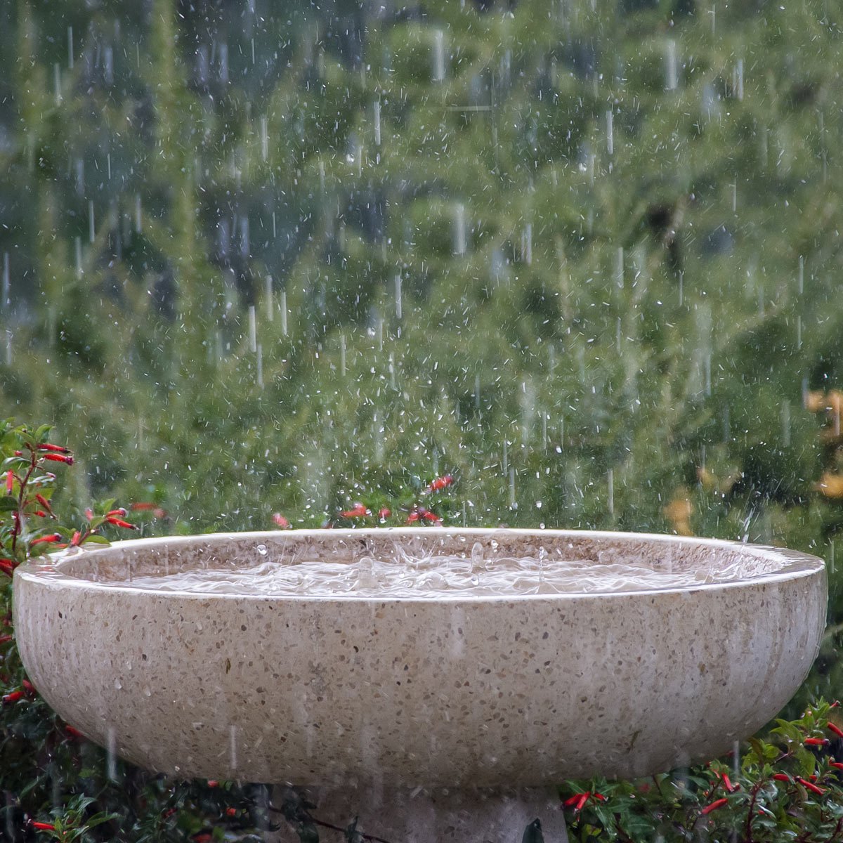 Garden Water Bowl in Stone