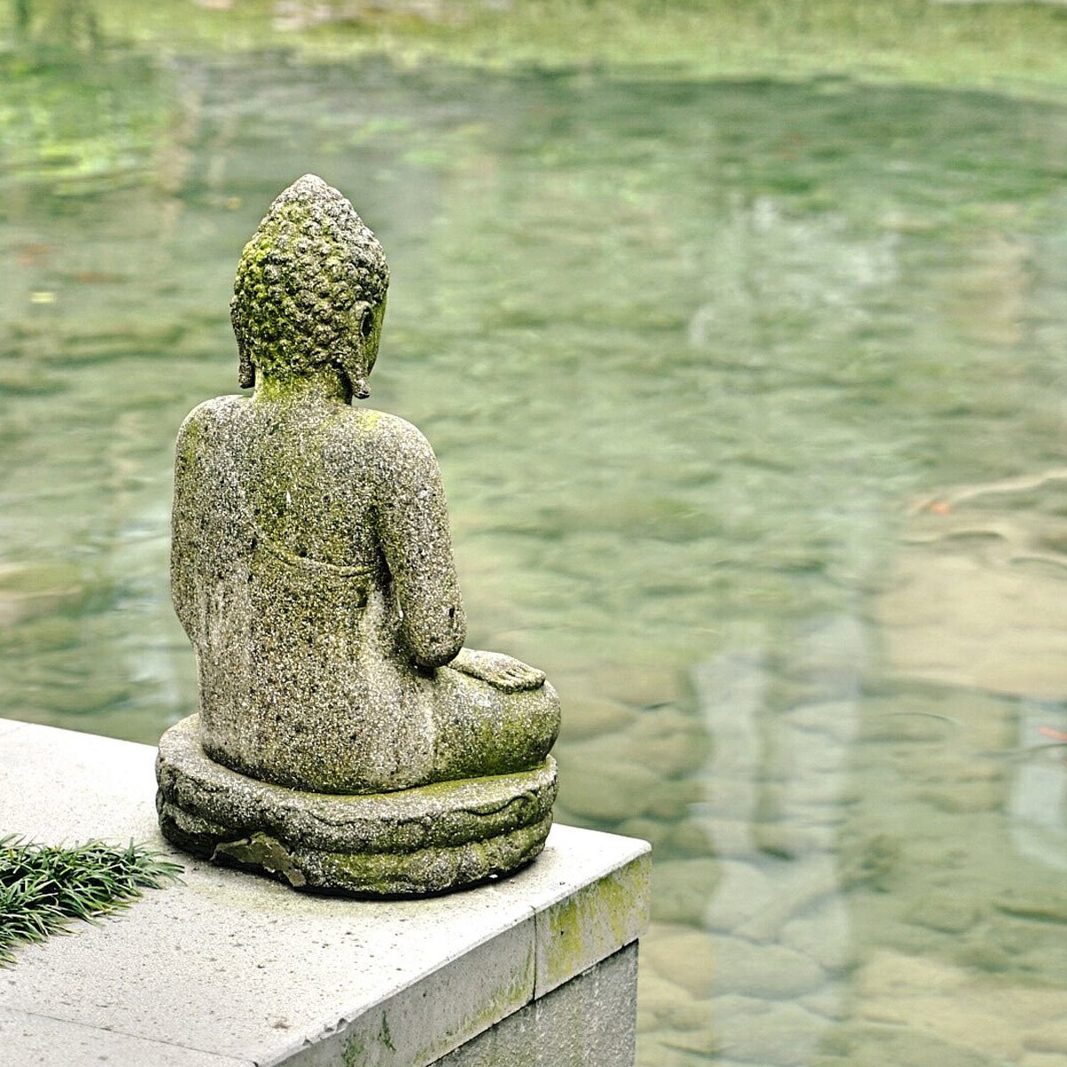Buddha Statue by Water