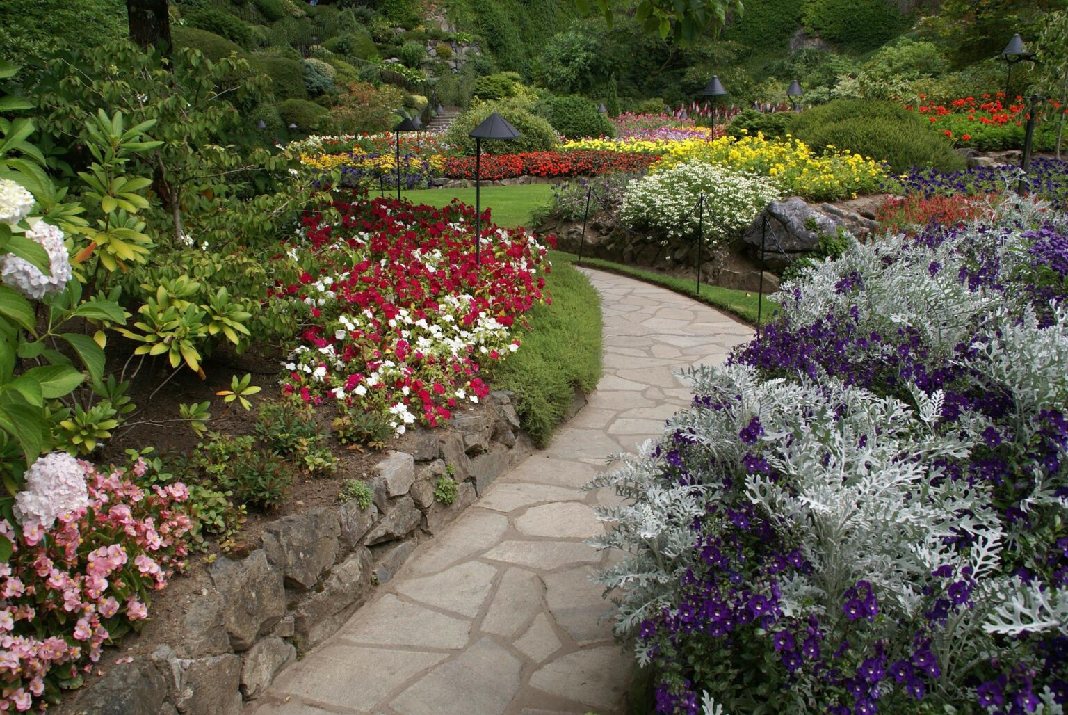 Curved garden path surrounded by flower beds