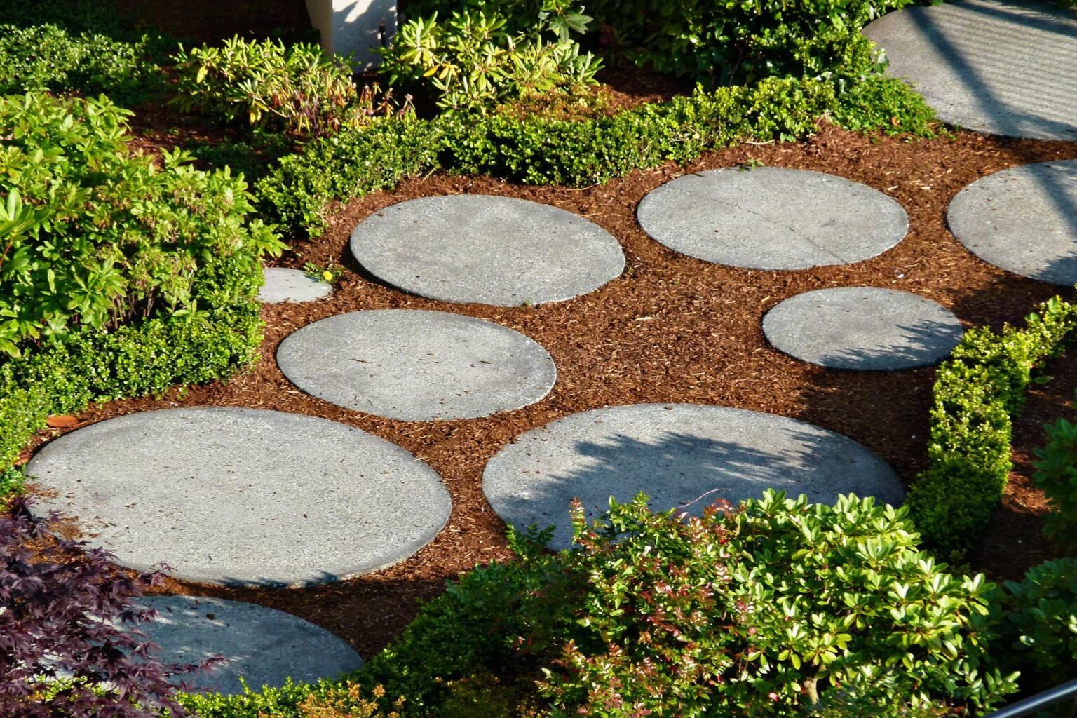 Grey circular stepping stones in garden