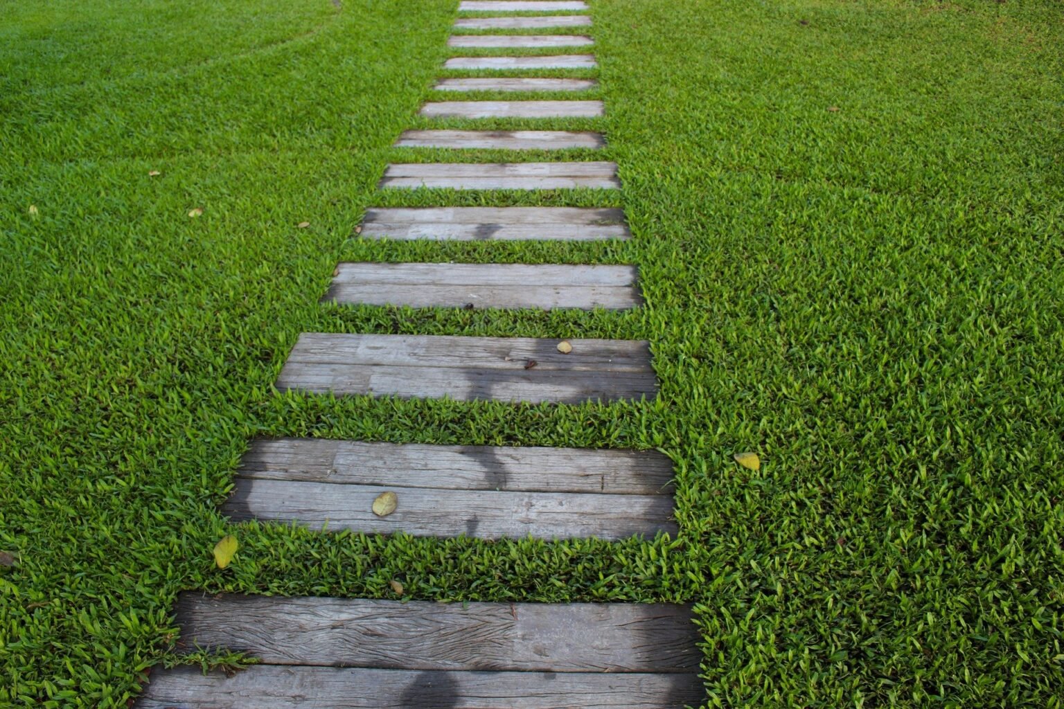 Modern wooden stepping stones