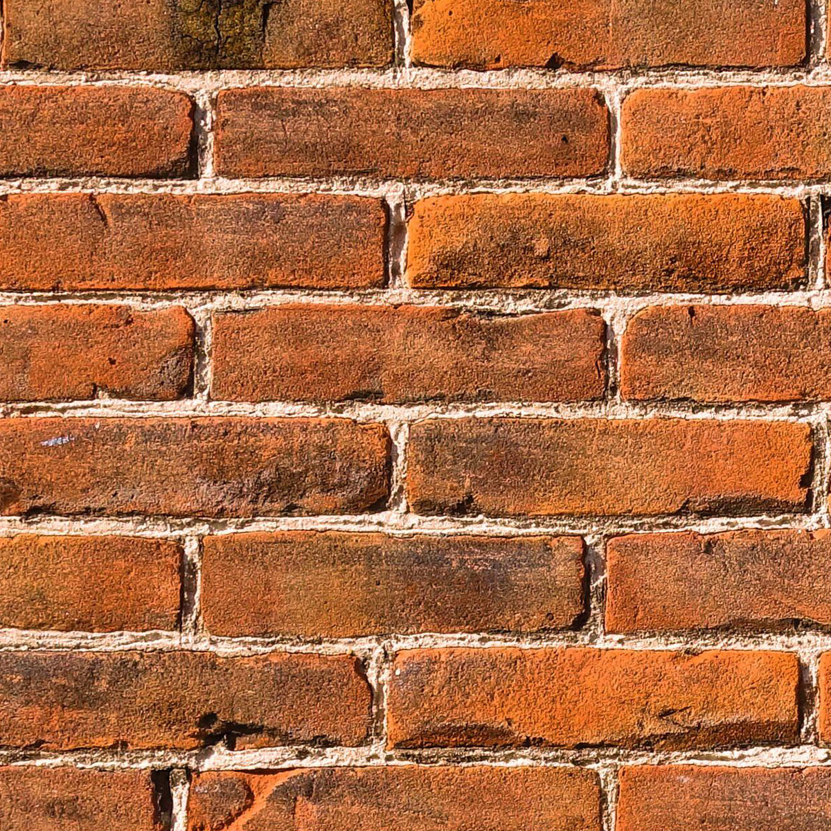 Lime Mortar & Brickwork