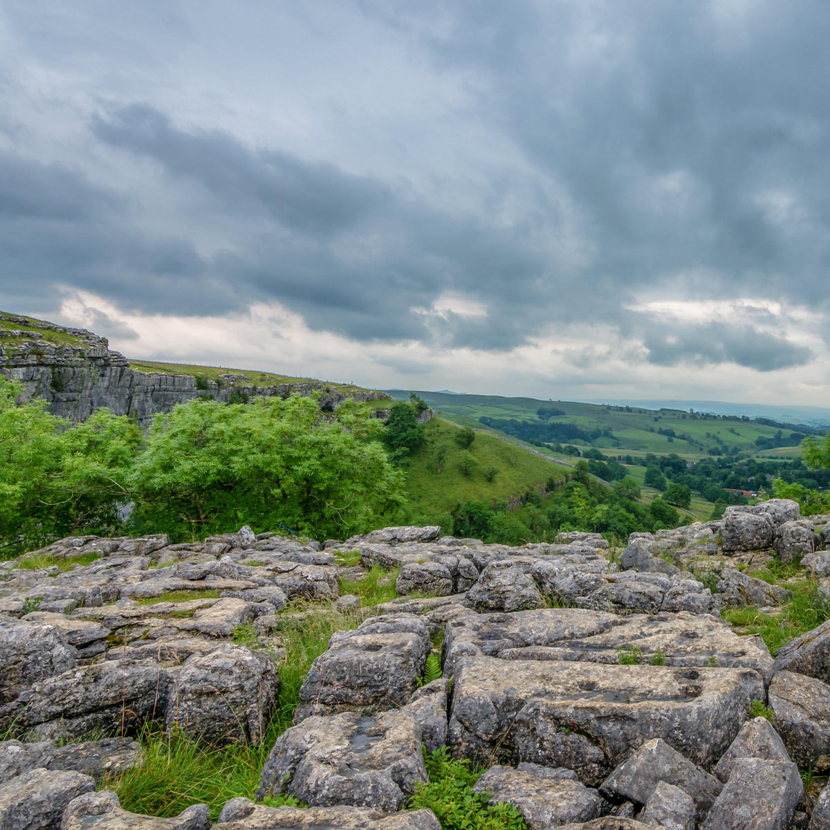 Limestone