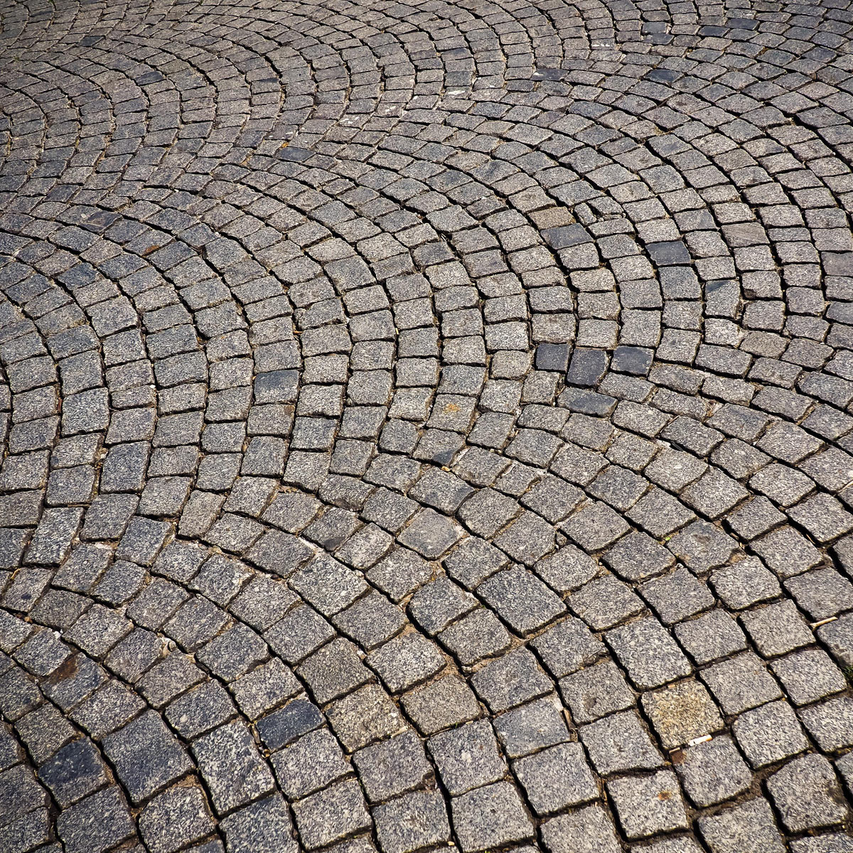 Setts