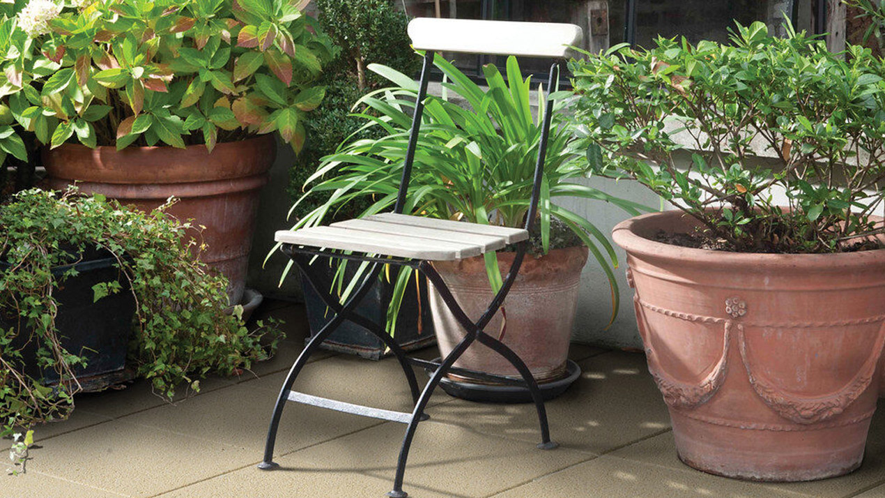 chair amongst potted plants