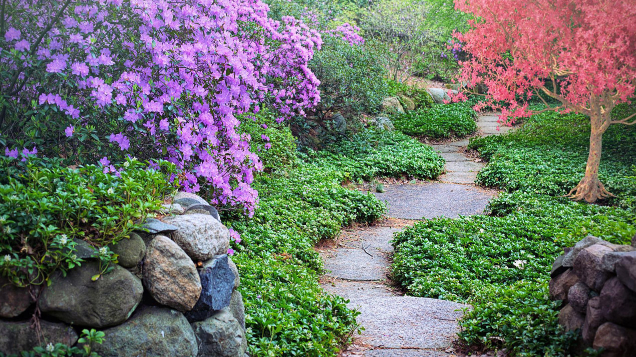 curved garden path