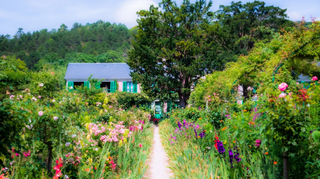 beautiful cottage garden on a summers day