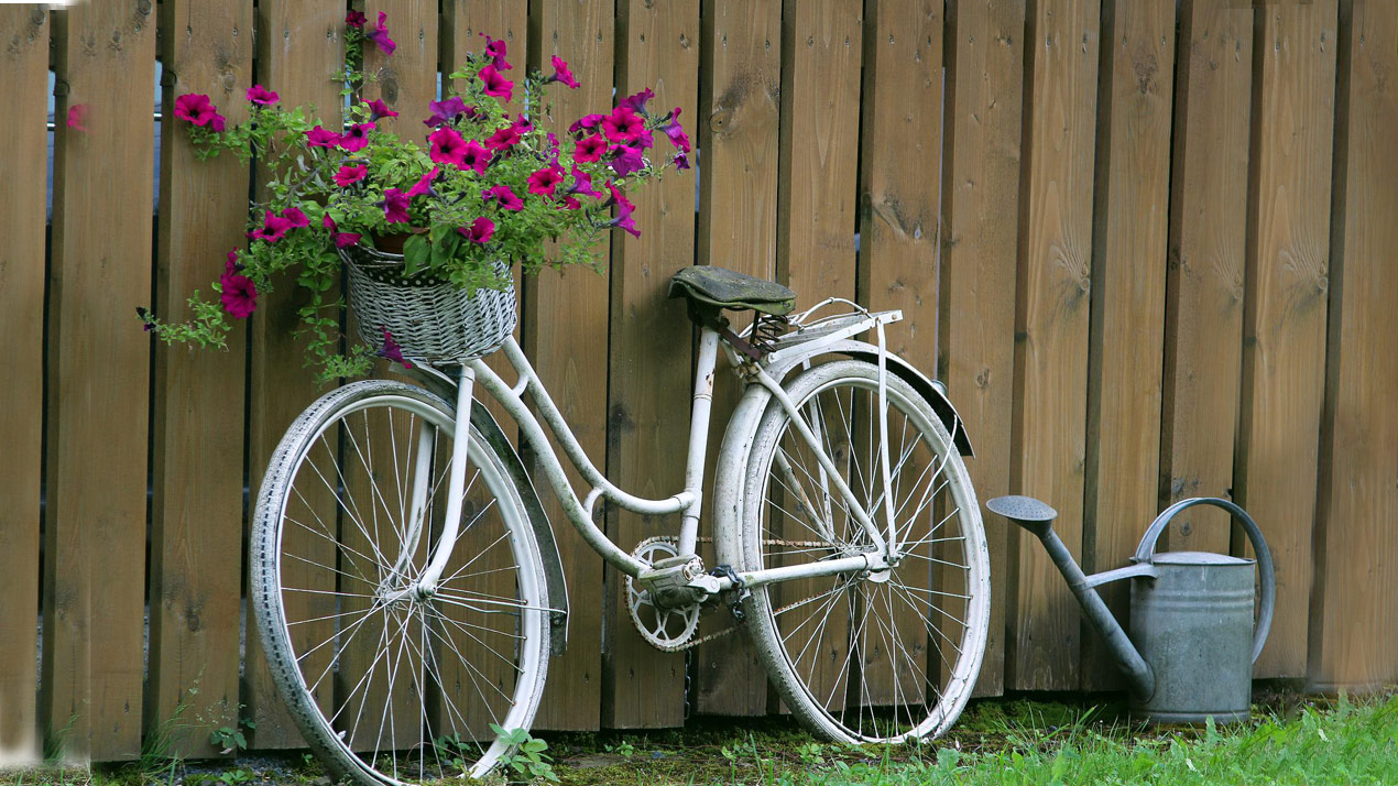 Cycle planter