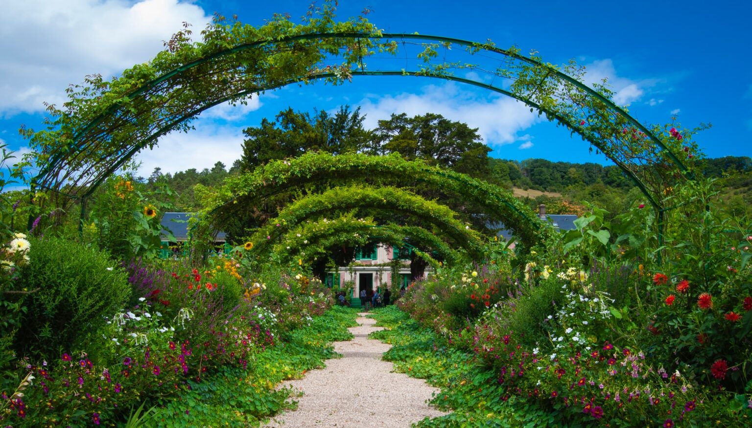 sensory garden pathway and arch