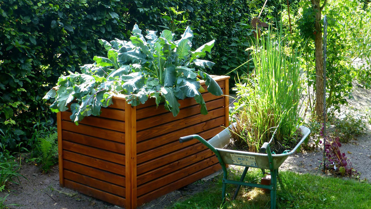 cottage garden raised beds