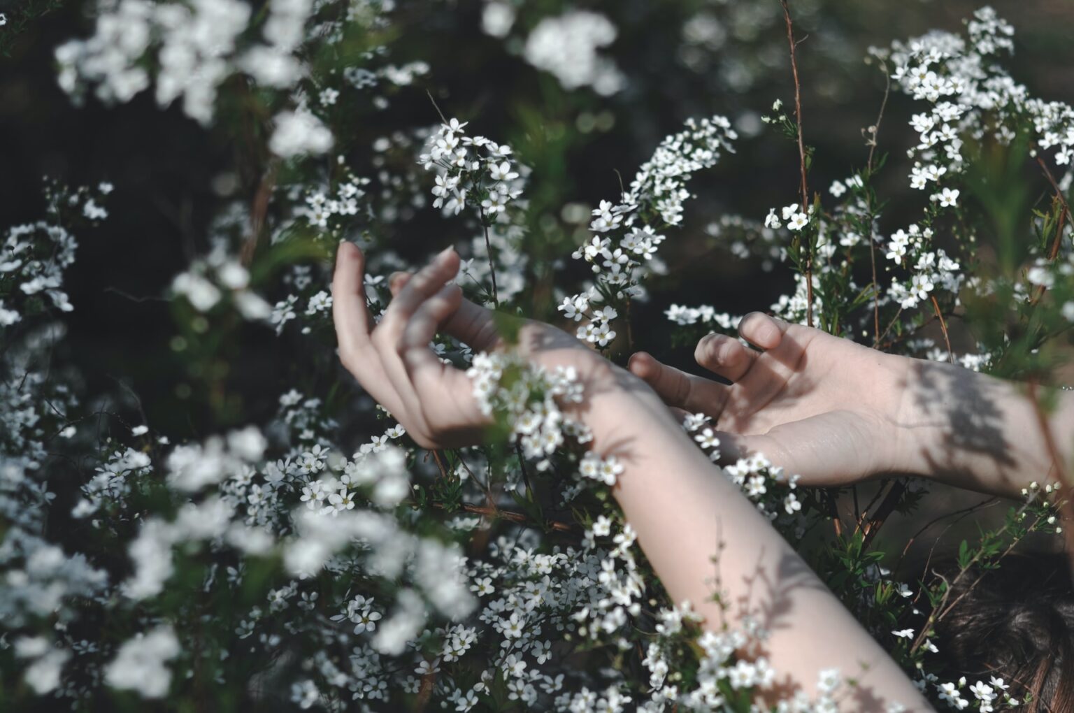 hands touching white flowers