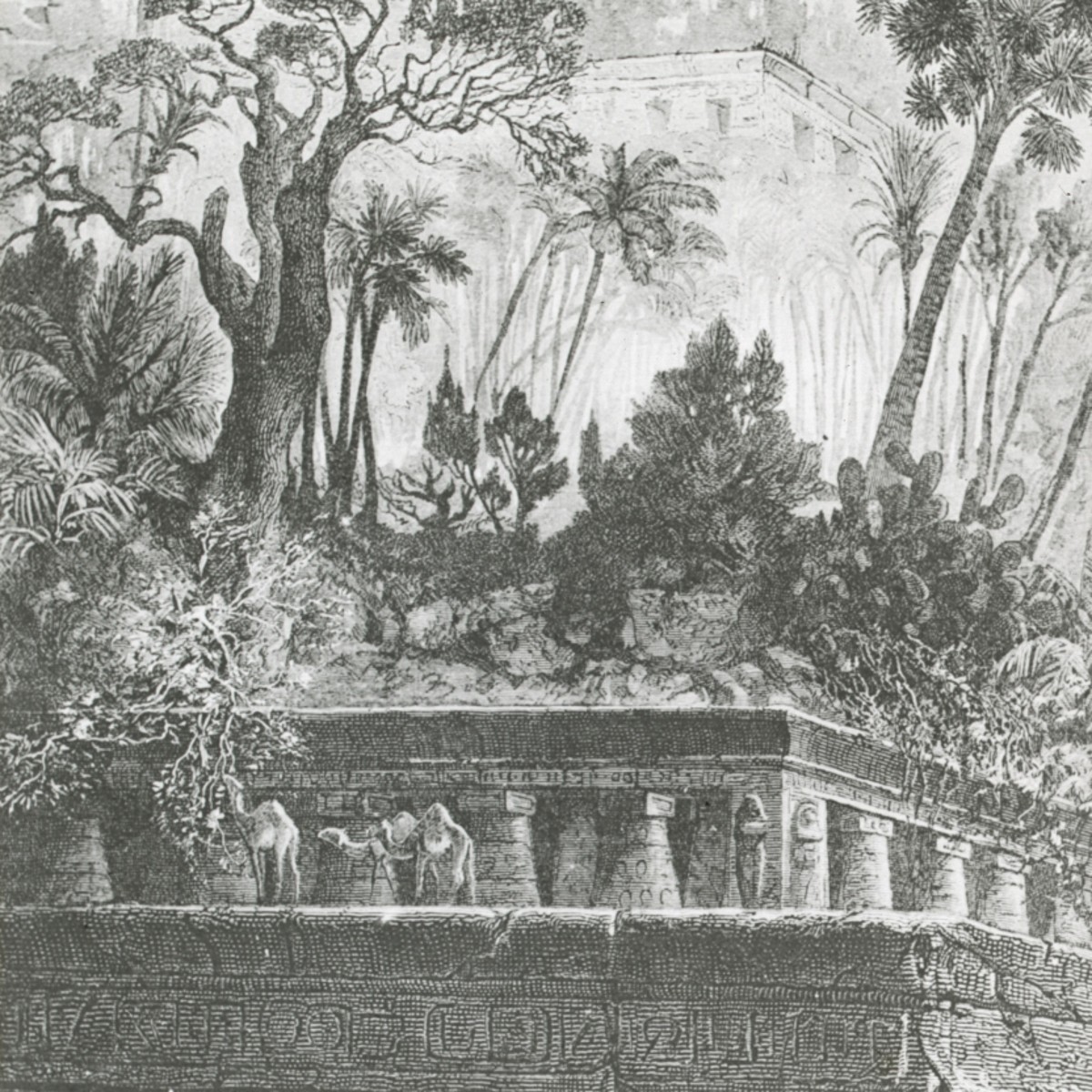 Hanging Gardens of Babylon (engraved depiction)