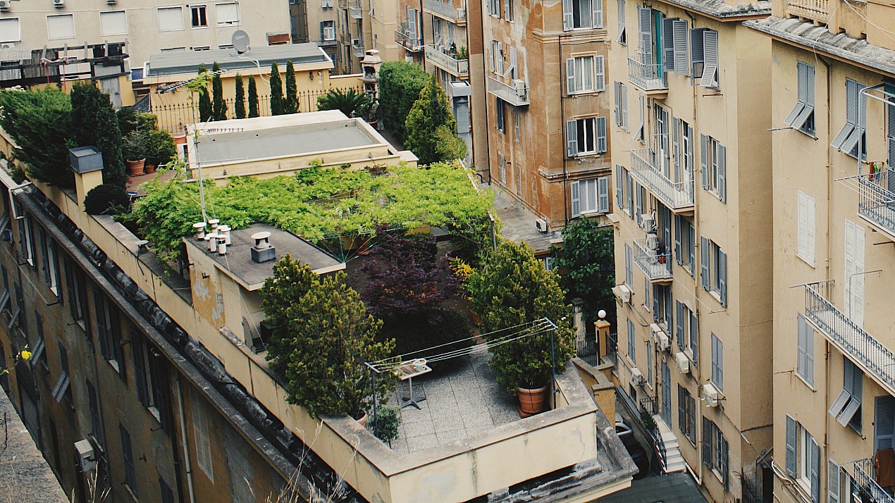 Roof garden