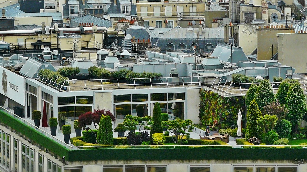 City roof garden dining area with topiary and ornamental trees