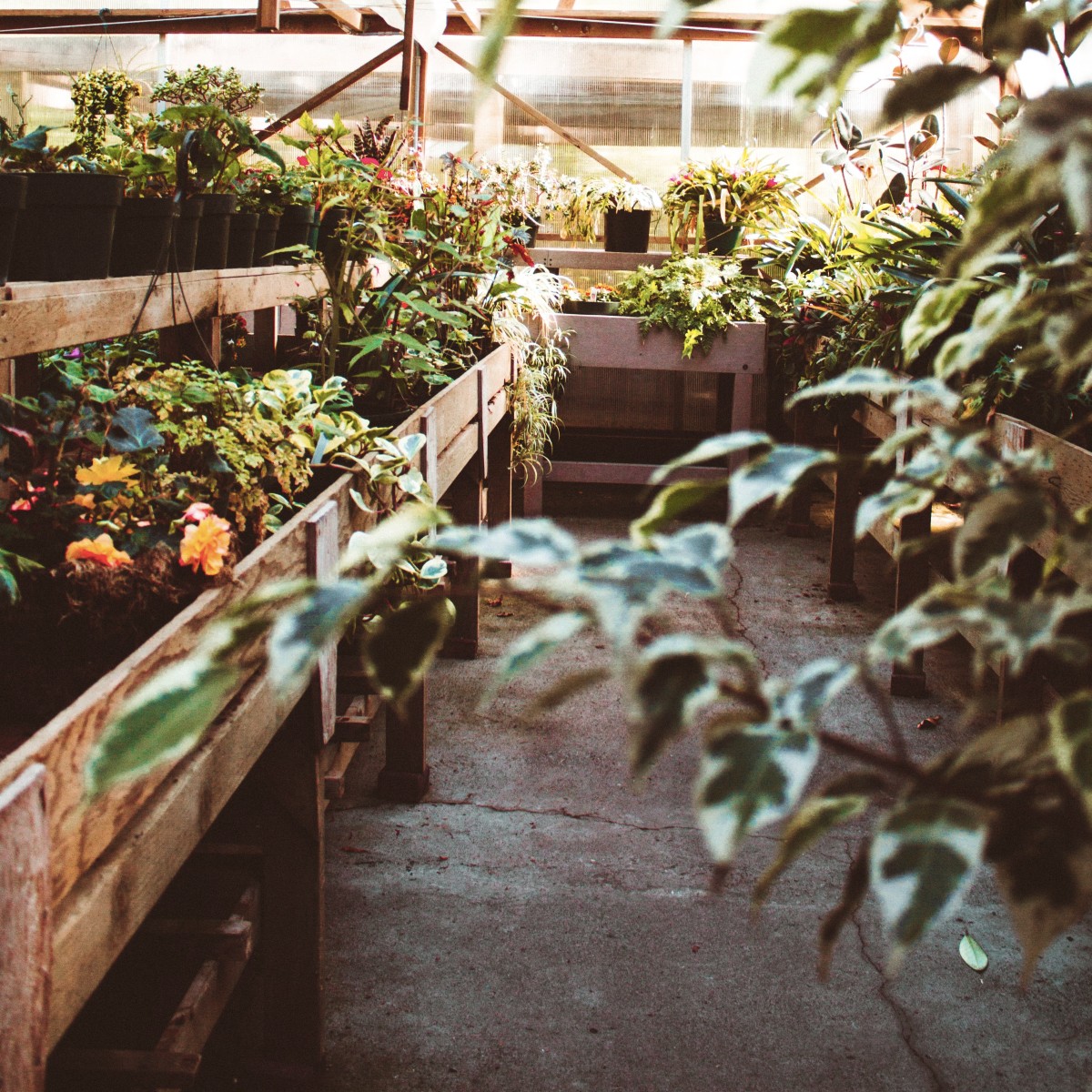 Raised flower beds