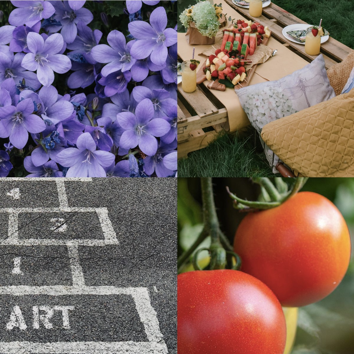 Sectioned picture to show flowers picnics hopscotch and tomatoes