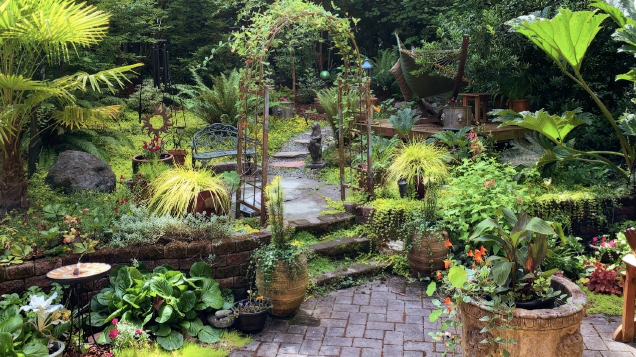 Garden arbour with patio and plants