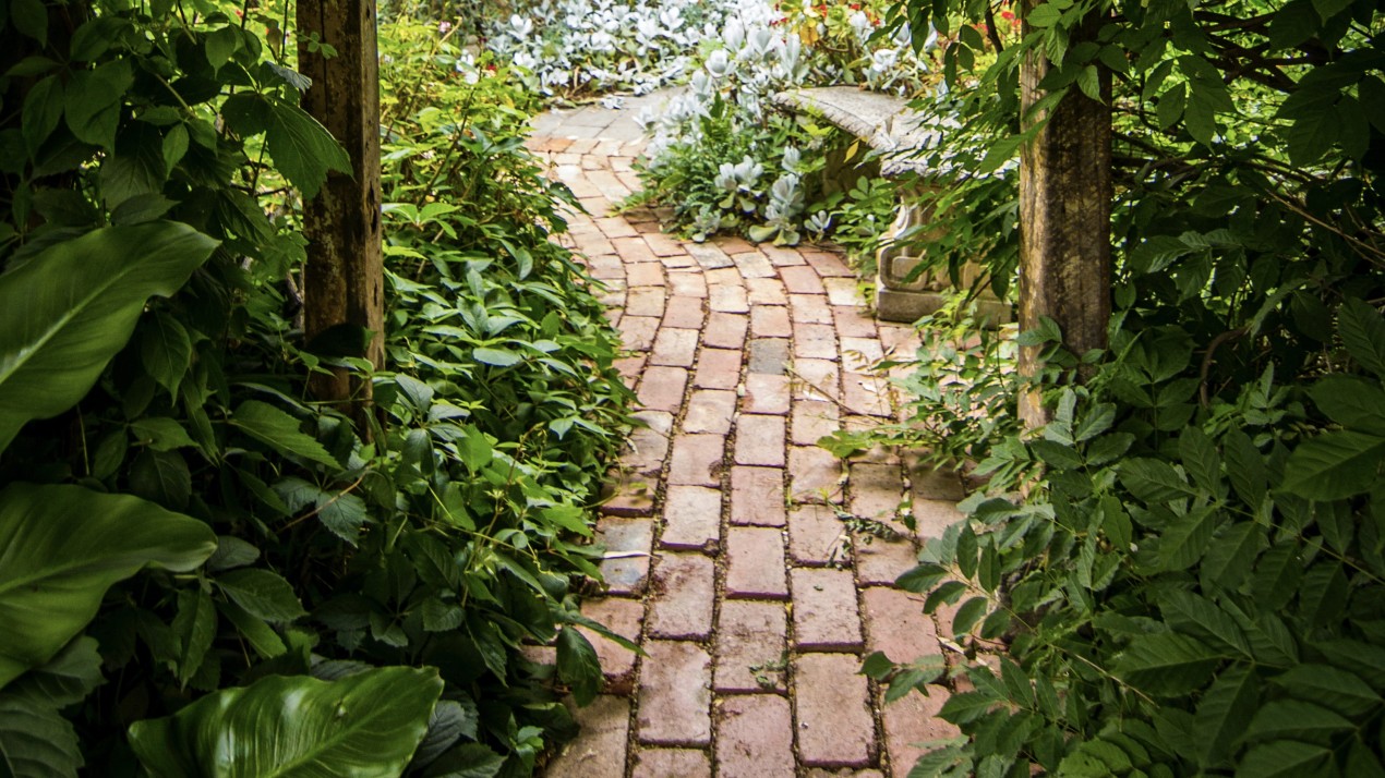 Sett path with plant beds