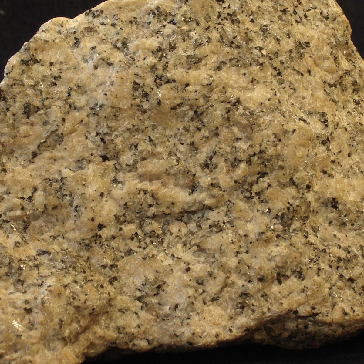 granite rock quartz amphibole minerals