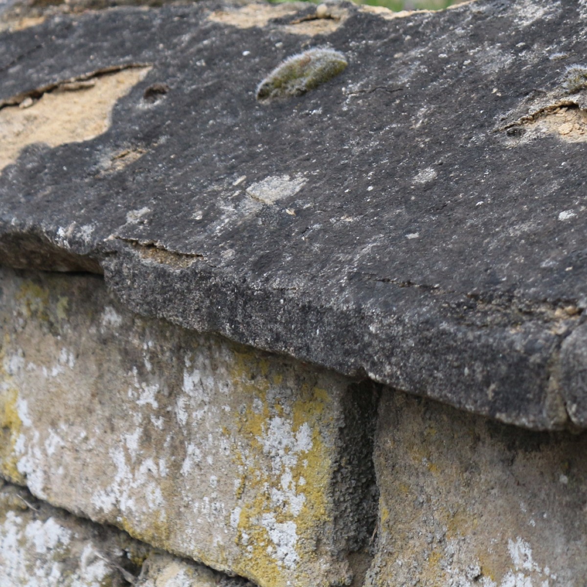 limestone wall moss cracks