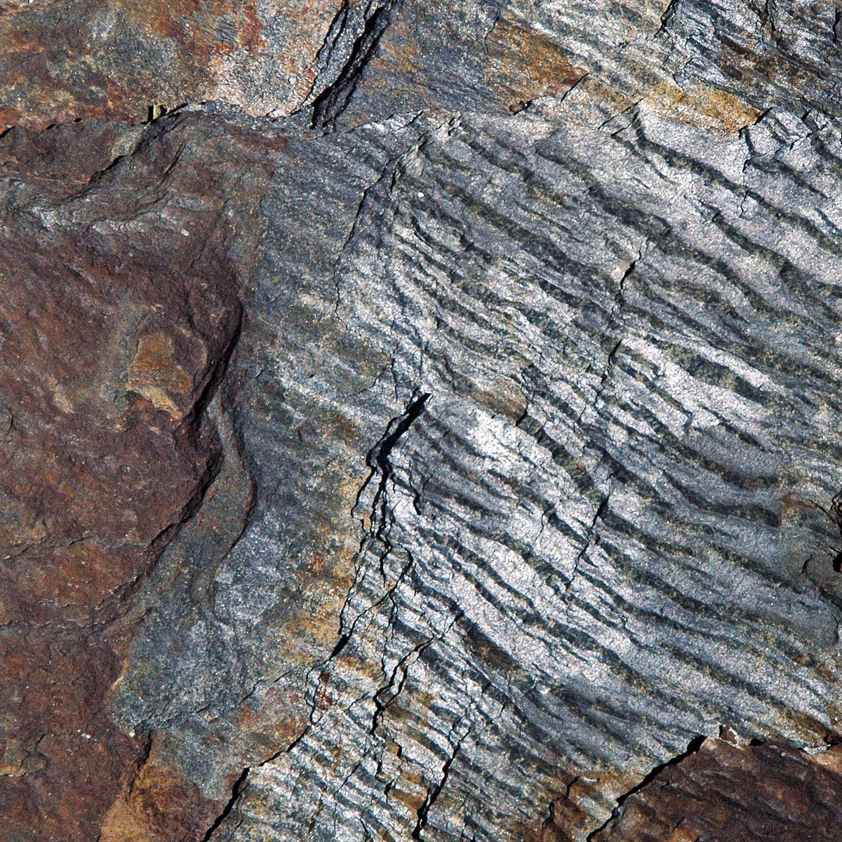 phyllite metamorphic rock