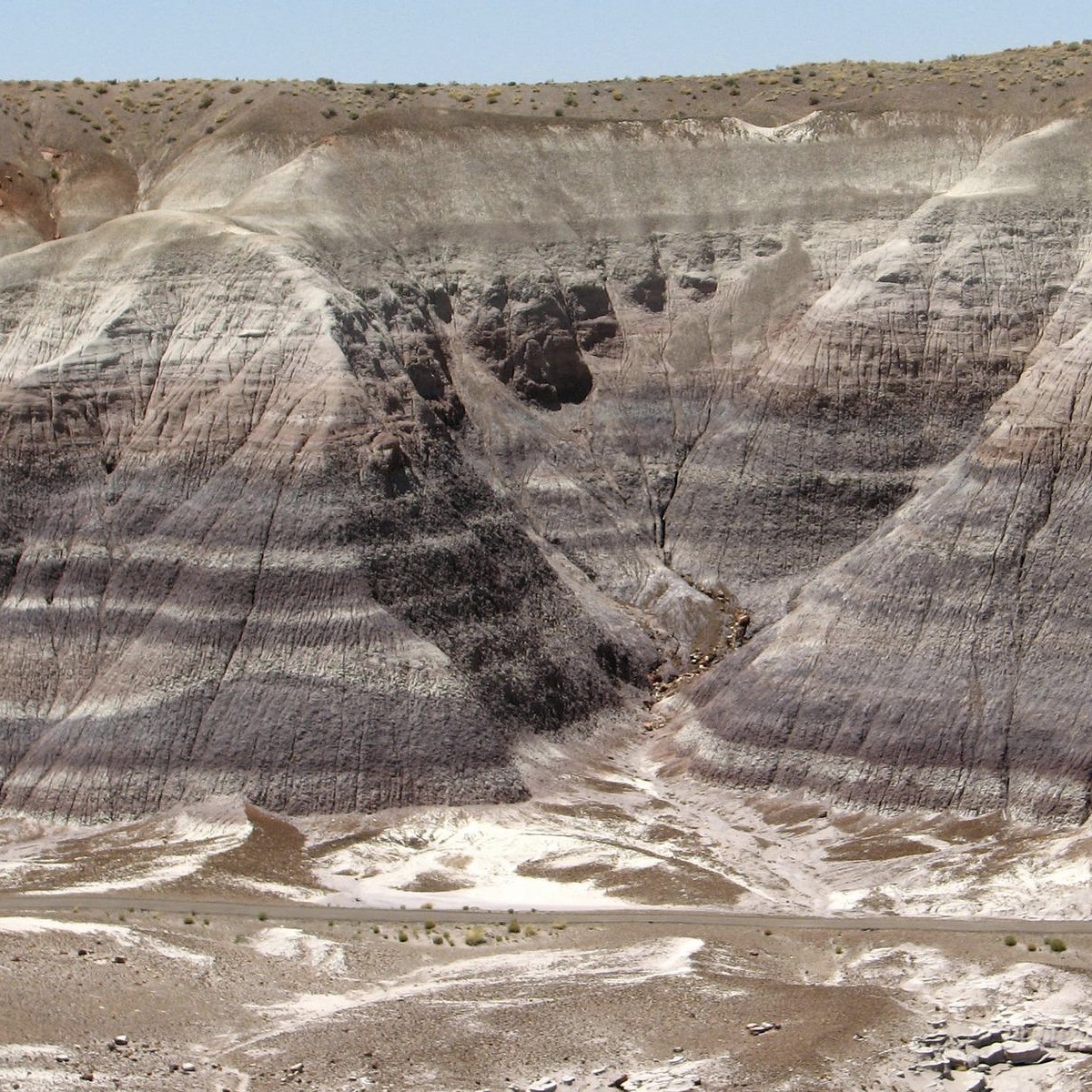 petrified forest arizona sedimentary mountains