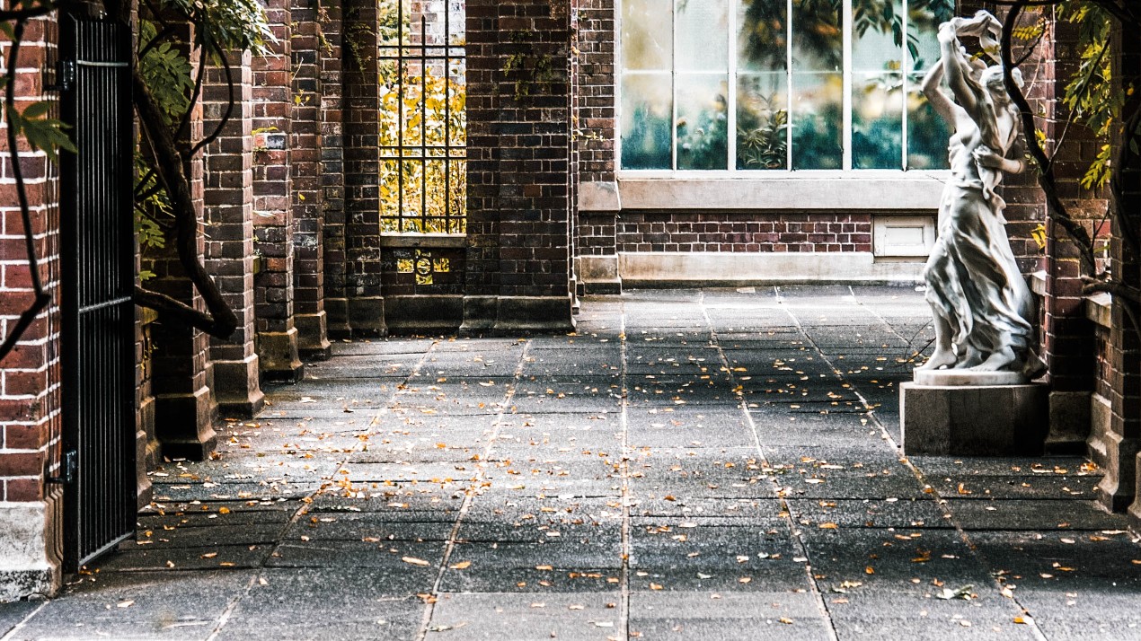 leaves pathway