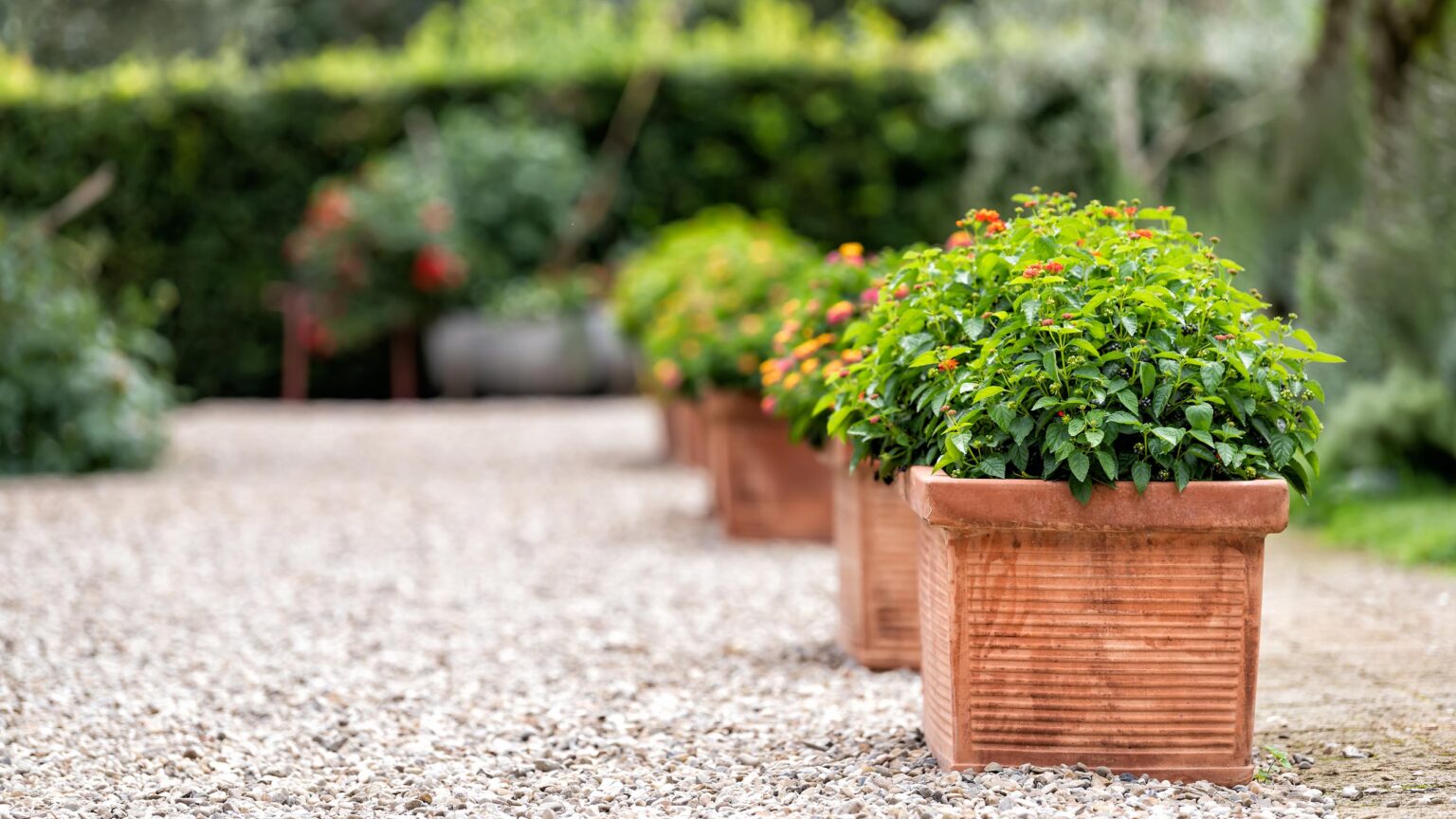 Formal Gardens - Planters