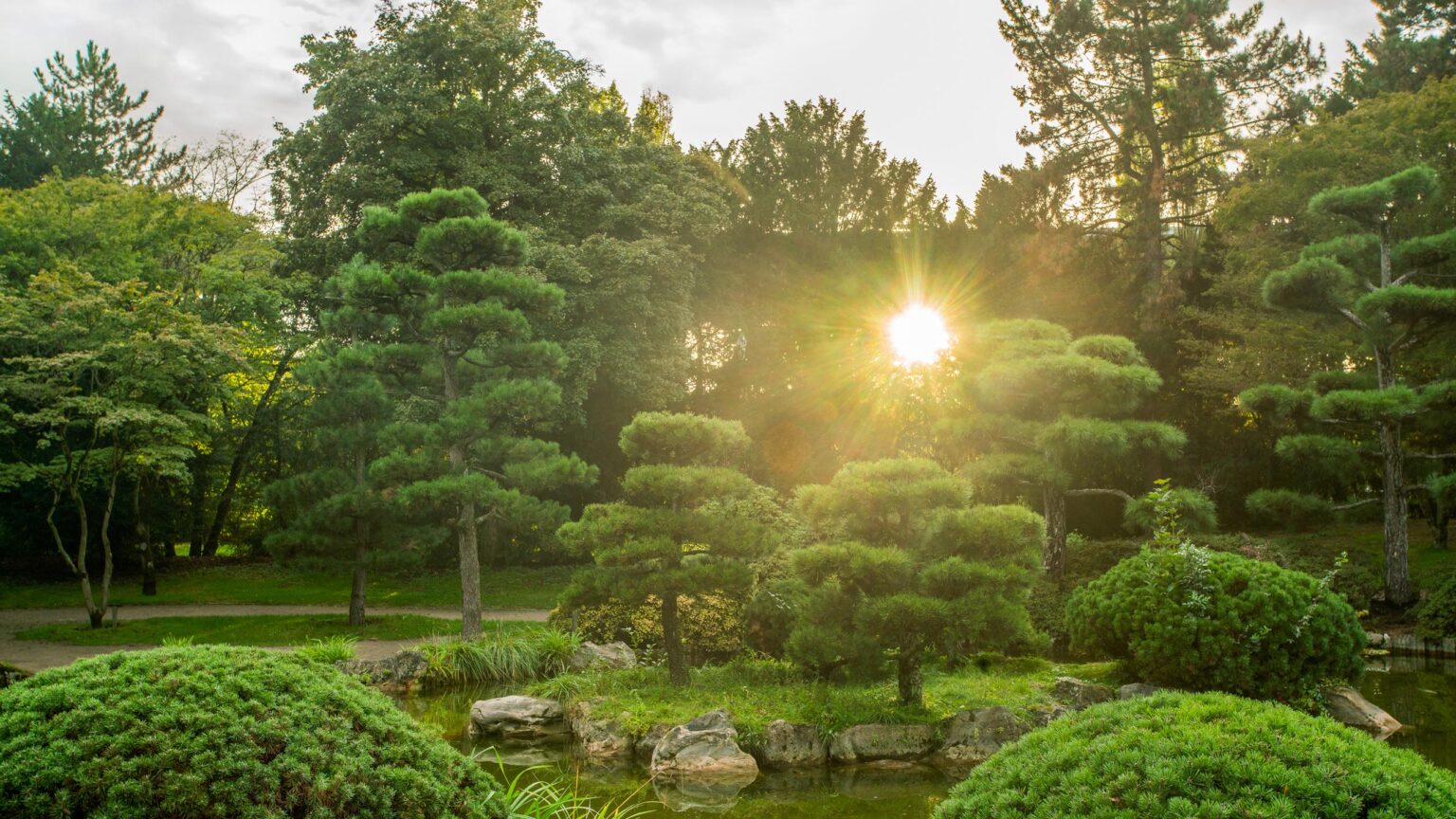 Formal Gardens - Sunbeams