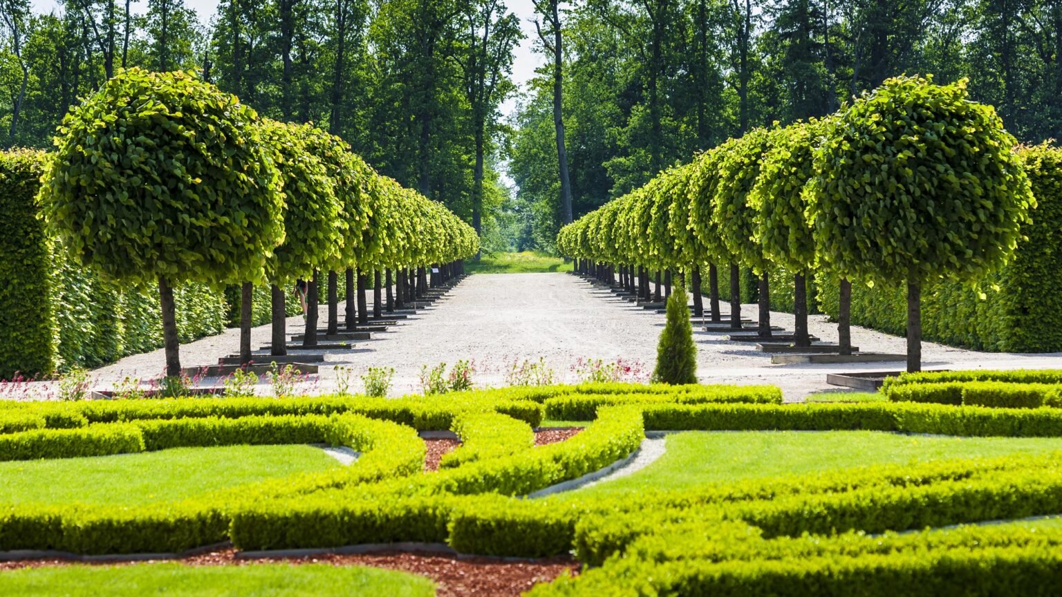 Formal Gardens - Tree Avenues