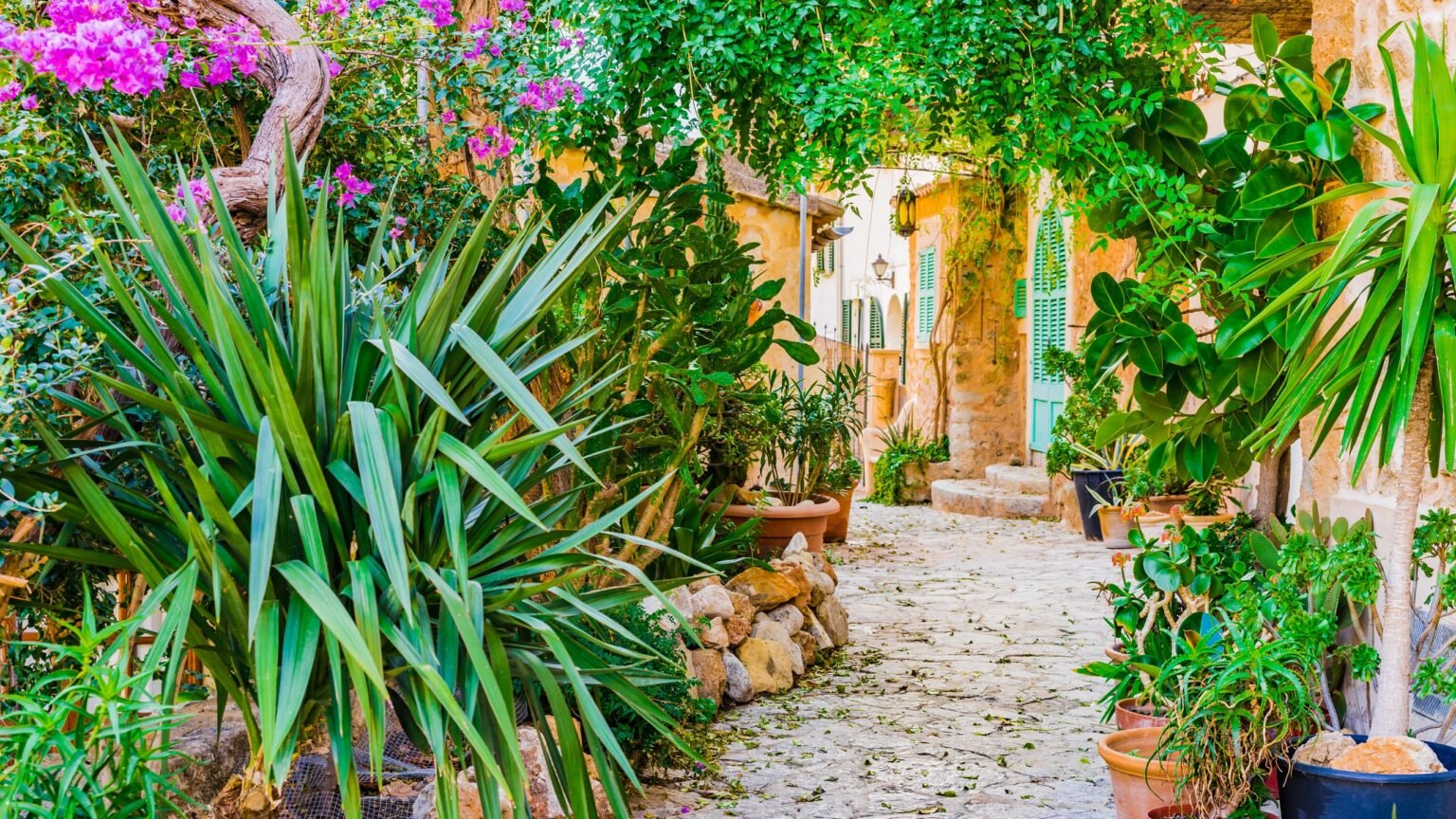 Beautiful alleyway with contrasting traditional stone buildings with lush green vegetation - Mediterranean garden features