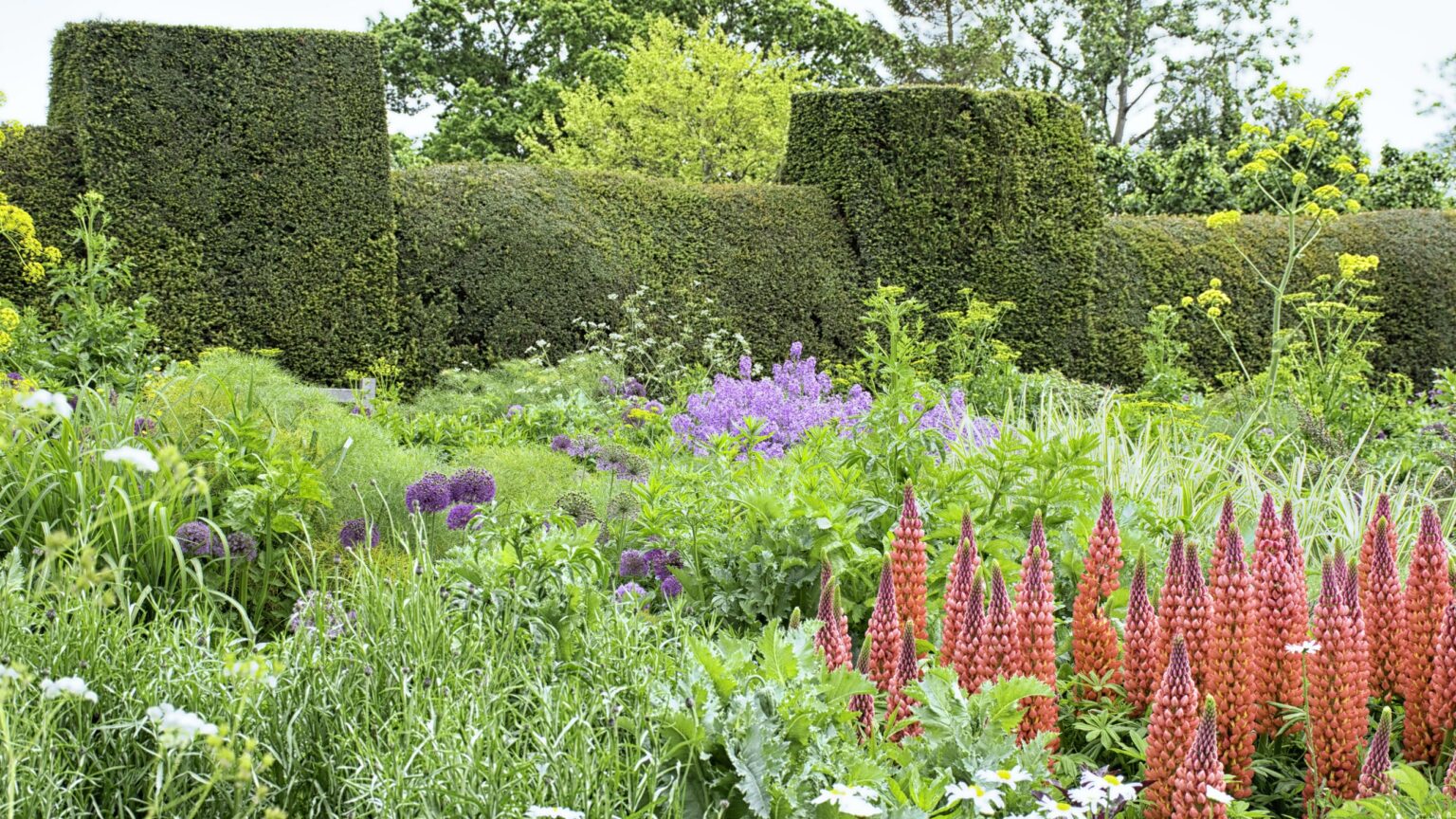 Mediterranean Garden Great Dixter