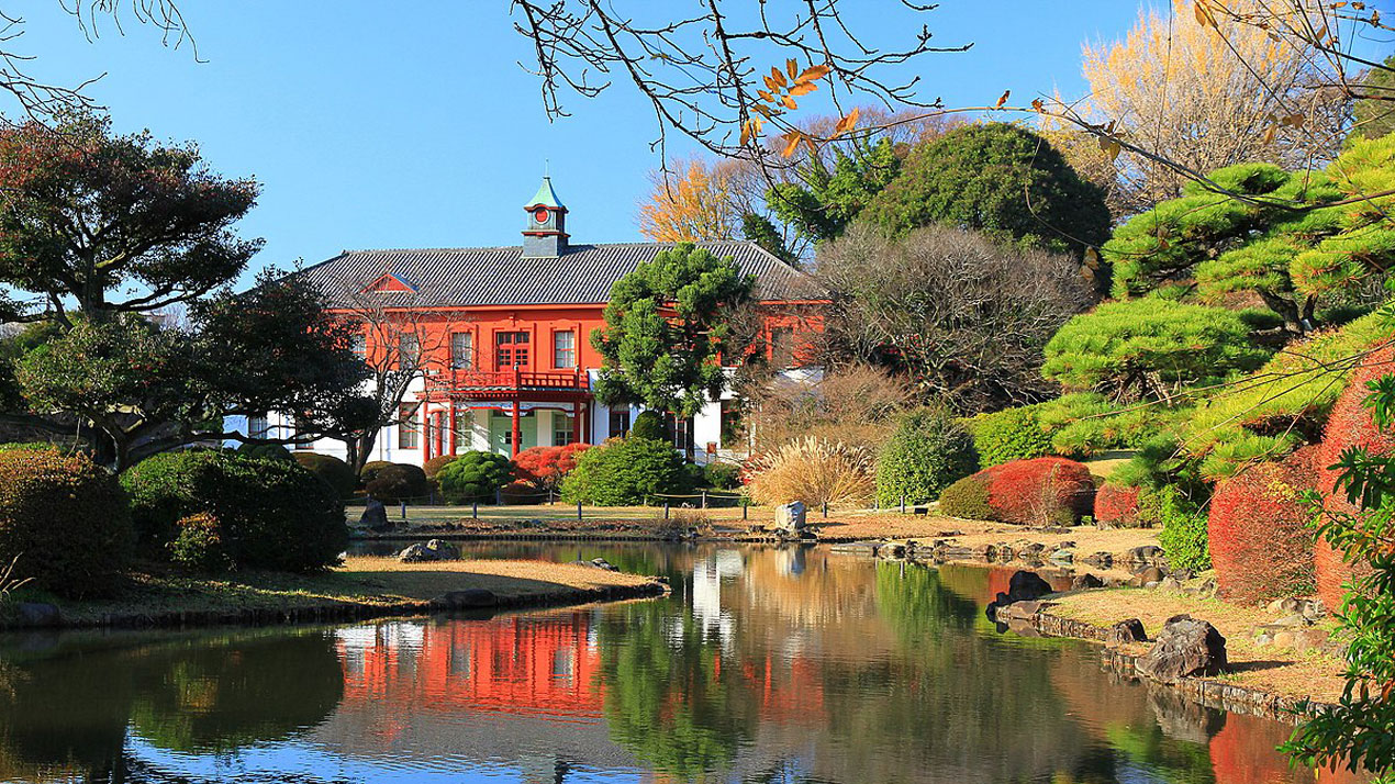 Koishikawa-Botanical-garden