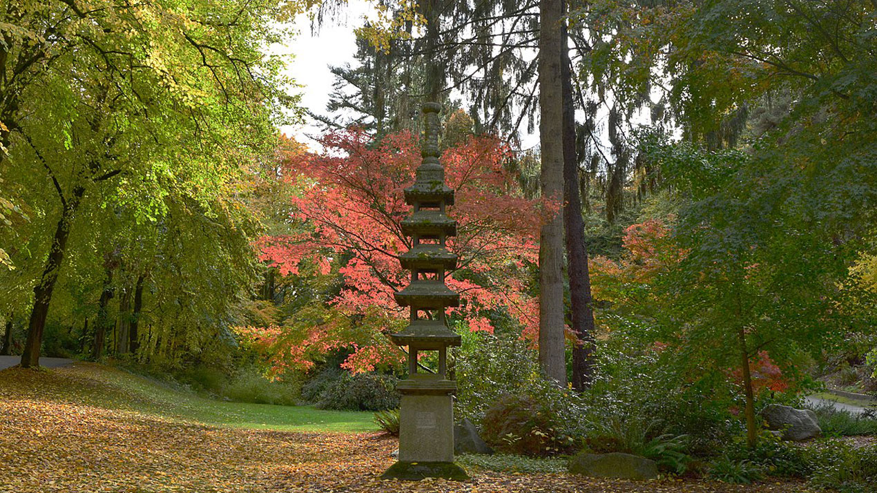 Ishidiro-Japanese- Pagoda lantern