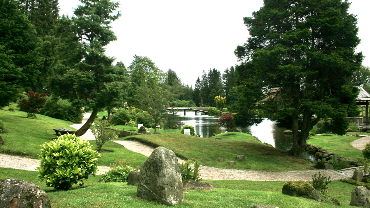 Lawn, Japanese-Garden