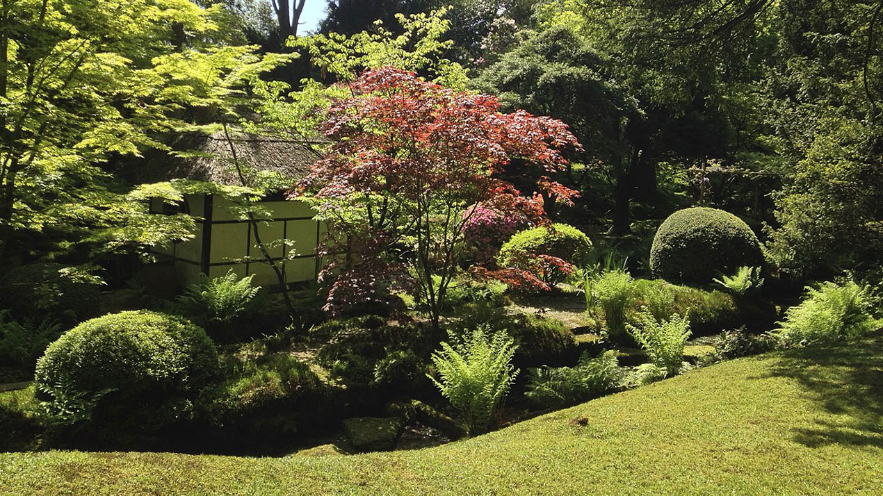 Tatton-Park-Japanese-garden