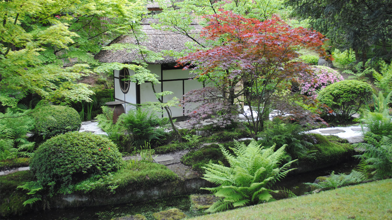 Tatton-Park,-Japanese-gardens,-Uk