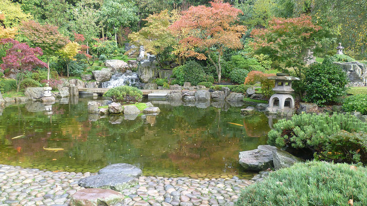 The-Kyoto-garden,-Holland-Park,-London